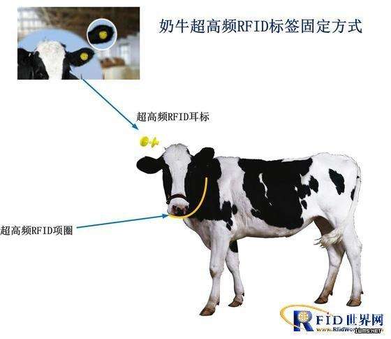 RFID电子标签
